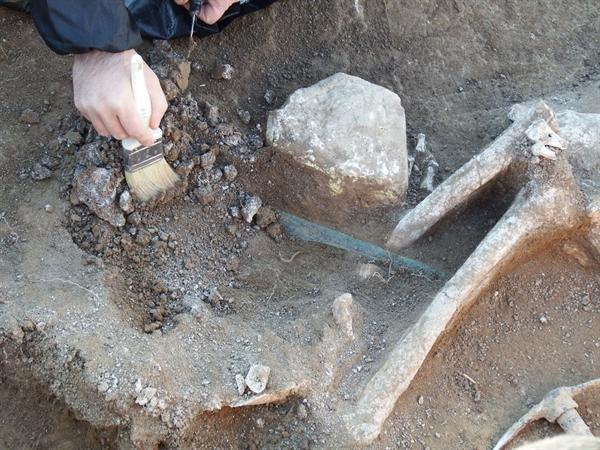 مطالعات استخوان شناسی همزمان با کاوش های باستان شناسی در سراسر ایران