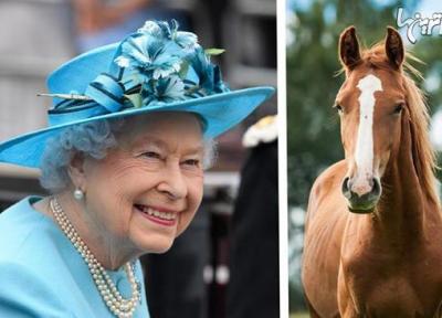 حیوانات عجیبی که به ملکه الیزابت هدیه داده شده