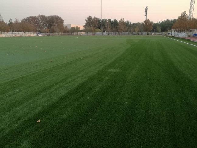 زمین چمن مصنوعی دانشگاه شهرکرد افتتاح می شود