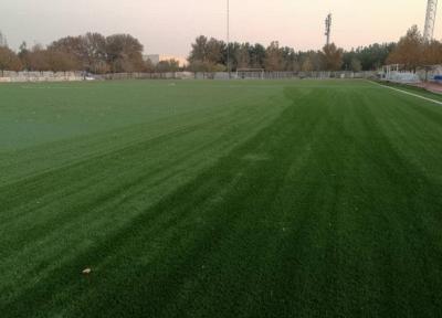 زمین چمن مصنوعی دانشگاه شهرکرد افتتاح می شود