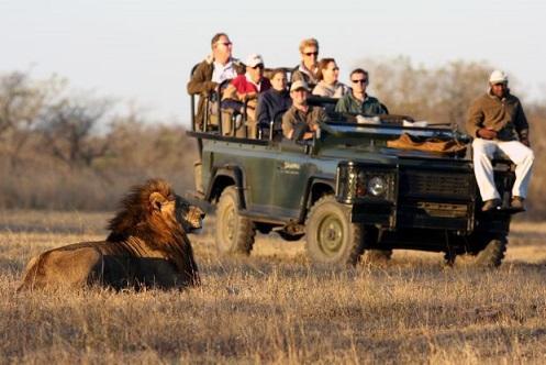پارک ملی کروگر در آفریقای جنوبی؛ تجربه ای زنده از حیات وحش