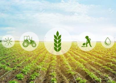 با 5 کاربرد فناوری فتونیک در صنعت کشاورزی و غذا آشنا شوید خبرنگاران
