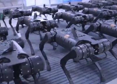 (ویدئو) ترس بسیاری از افراد با دیدن حرکت گروهی ربات ها