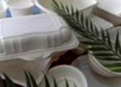 مزایای استفاده از ظروف یک بارمصرف گیاهی
