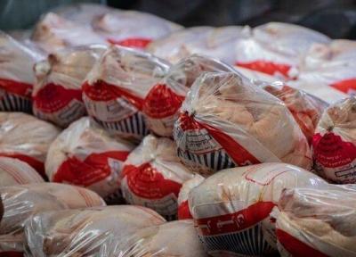 افزایش قیمت مرغ با شیب ملایم، در تأمین مرغ مورد نیاز کشور مسئله ای نداریم